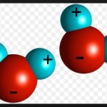 water molecule