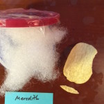 meredith-chip